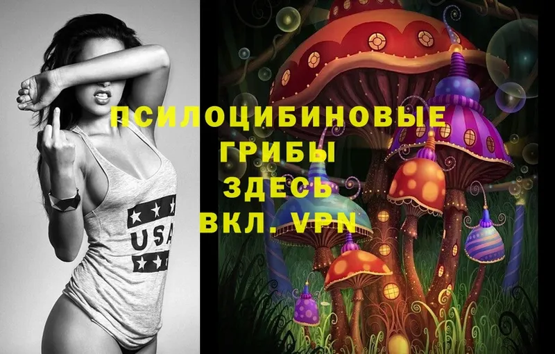 Галлюциногенные грибы Psilocybe  мега ссылки  Алзамай 